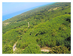 the view from the top of the lighthouse where our instructor Jay waxed poetic and i wondered how it would be like to be stuck there during an earthquake 