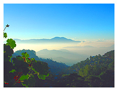 the view from our balcony...sunrise in Baguio